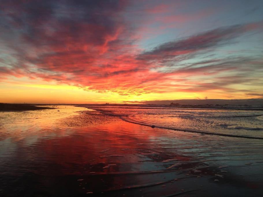 Nieuw: holiday home beachy days bij zee/duin&meer Noordwijkerhout Buitenkant foto